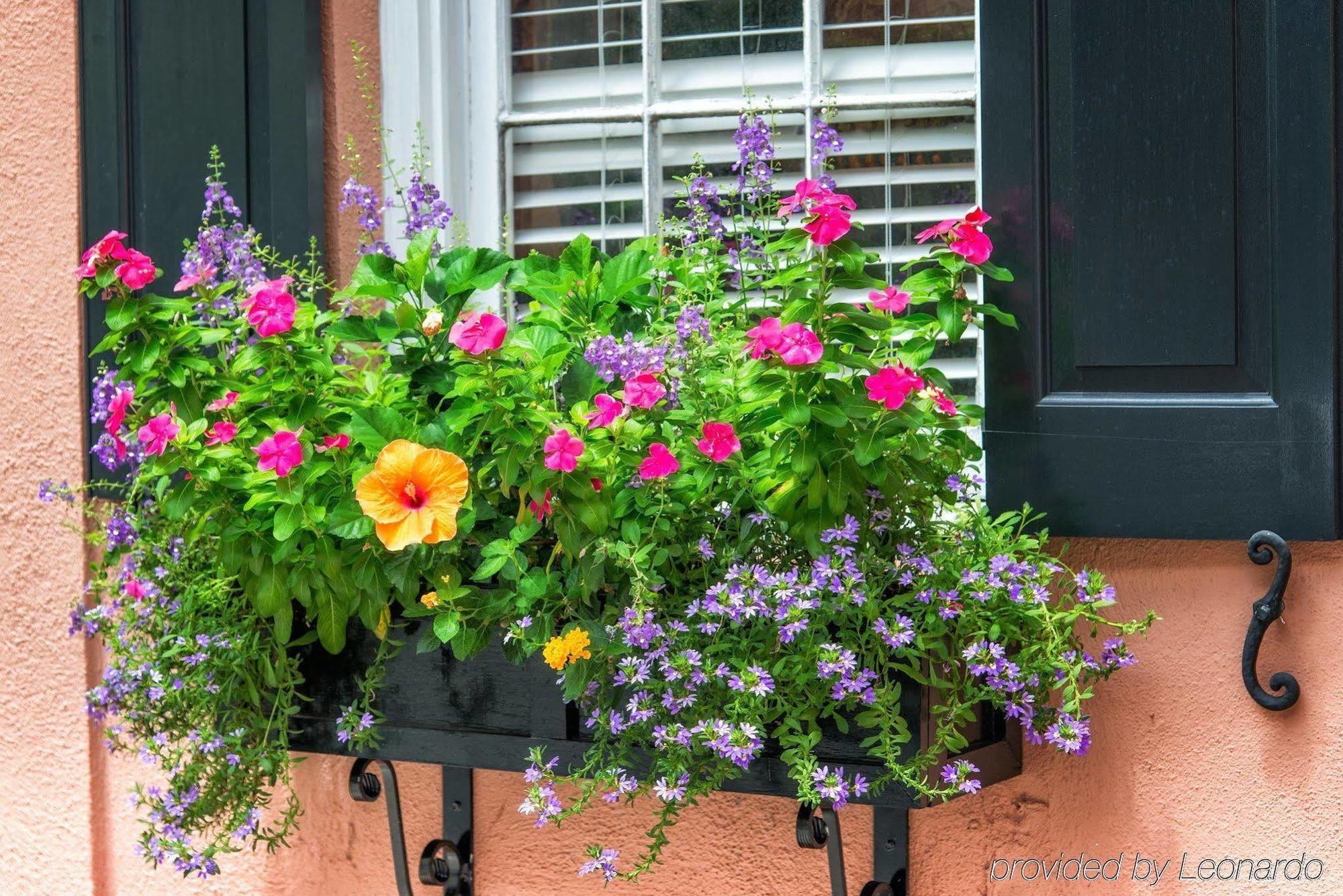 The Elliott House Inn Charleston Luaran gambar